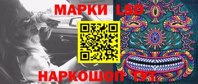 твердый Новозыбков