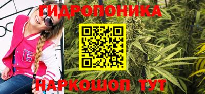 твердый Новозыбков