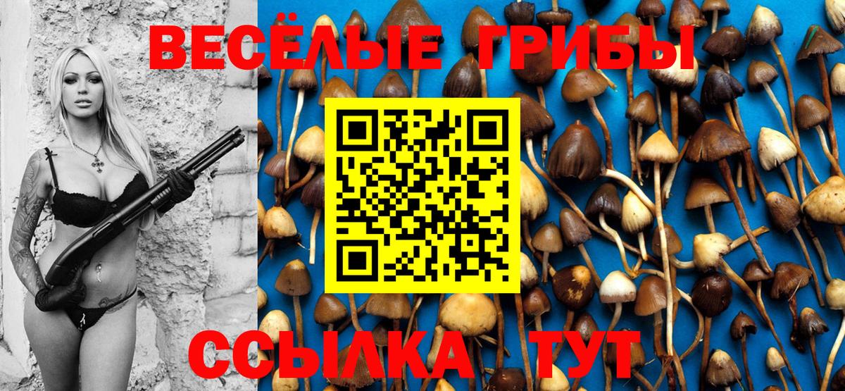 Галлюциногенные грибы Cubensis Таганрог