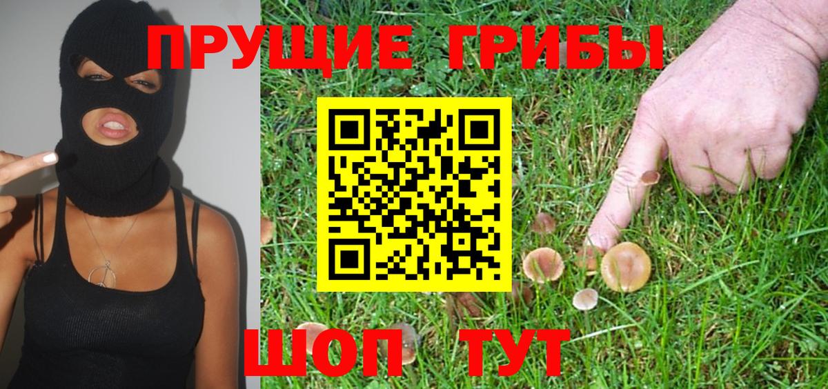 Галлюциногенные грибы прущие грибы  Псилоцибиновые грибы Cubensis  Таганрог  Вход с VPN 